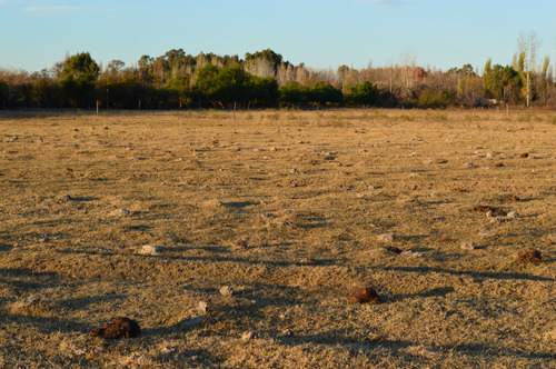 Terrenos Urbanos