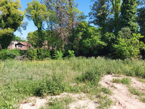 Terreno En  Lomas De San Isidro Jockey Proyecto Para Vivienda Unifamiliar Agrupadas