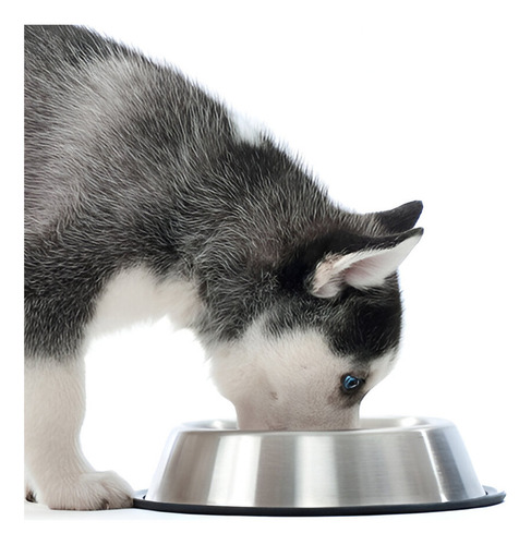 Plato Comedero Bebedero Para Mascotas Antideslizante - 21cm