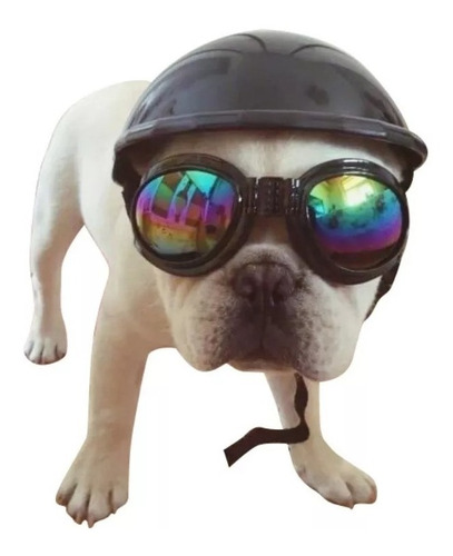 Pack Casco + Lentes Protección Para Mascotas Bicicleta Moto