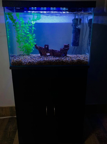 Acuario Pecera Nueva