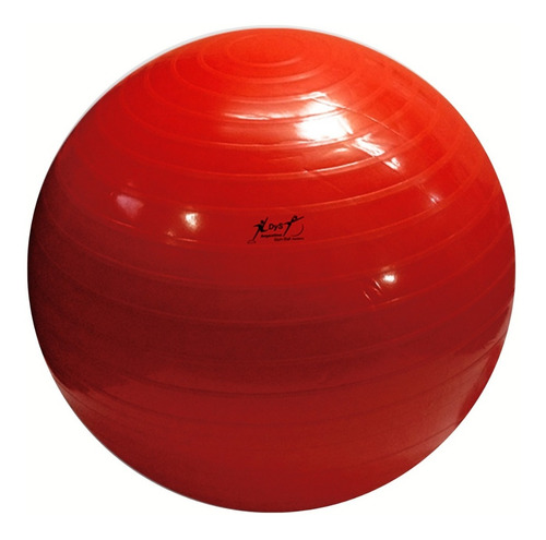 Pelota Esferodinamia 75 Cm Dts Pilates Yoga Rehabilitacion