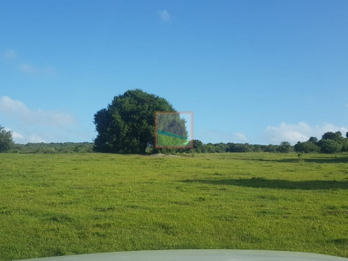 Imagen 4 de 13 de Chacras 5 Hás En Fraccionamiento Altos De Aiguá