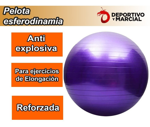 Pelota Esferodinamia 75 Cm Reforzada Fitball Gym En3x