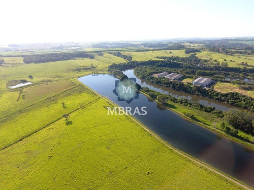 Imagem 4 de 13 de Fazenda - Salto - Mb8804