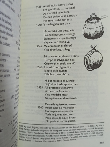 Imagen 6 de 6 de Martín Fierro - José Hernández - Con Ilustraciones Y Notas