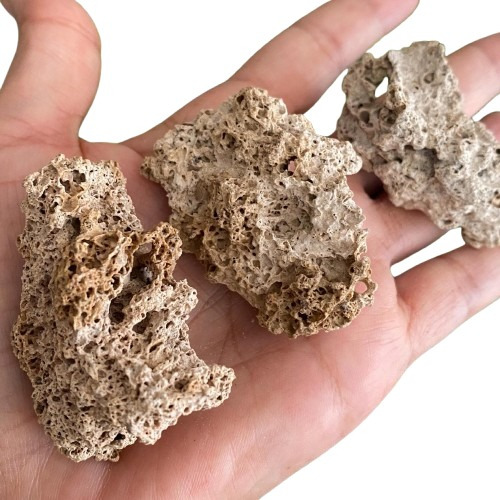 Piedra Semipreciosa Pómez Natural Protección Y Sanacion Gris
