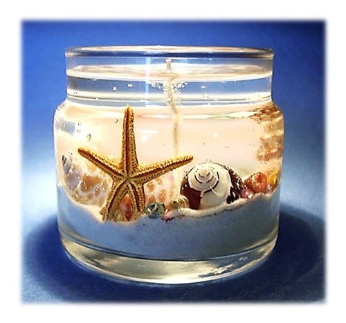 Imagen 7 de 10 de Caracolas Y Conchas Marinas Para Velas De Gel - 12 Piezas
