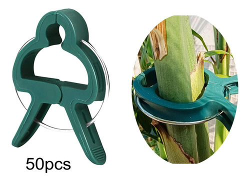 50 Piezas Clips Para Plantas Plantas Trepadoras Golondrina L