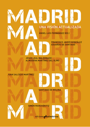 Madrid Una Vision Actualizada - Aa,vv