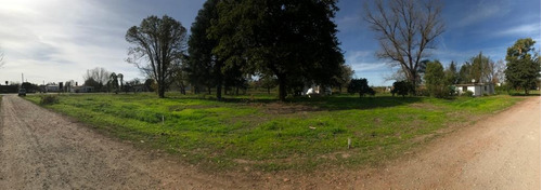 Imagen 3 de 30 de Terreno - Ibarlucea