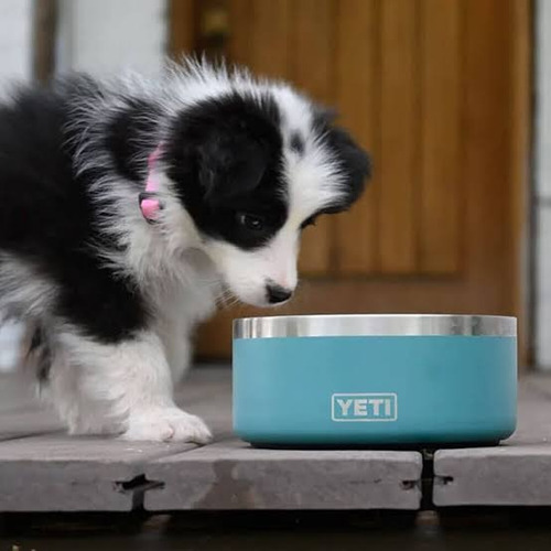 Plato Mascota Tazón Yeti Boomer Bowl 32oz Antiderrapante Color Lila