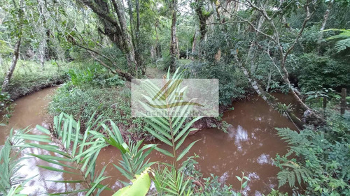 Imagem 15 de 15 de Vendo Chacara De 3848 M² Em Ibiuna-sp - 91
