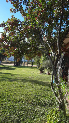 Chacra Con Casa Amplia Y Pequeña Cabaña En Ruta 7 Km 50.