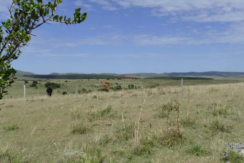 Ruta 39, A 47 Km De Punta Del Este, Venta De Campo Ganadero, Muy Panorámico Y Con Cañadas.