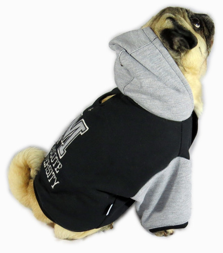 Imagem 8 de 9 de Roupa De Cachorro/gato Inverno Frio Moletom Capuz Universita
