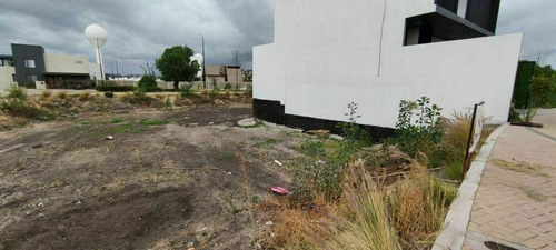 Imagen 7 de 12 de Terreno En Venta Hacienda Carlota