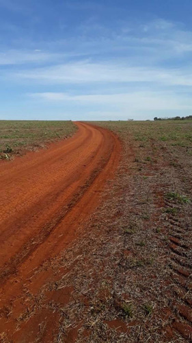 Imagem 4 de 10 de Fazenda Dupla Aptidão Município Quirinopolis