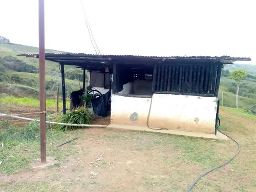 Venta Finca Restrepo Valle Del Cauca