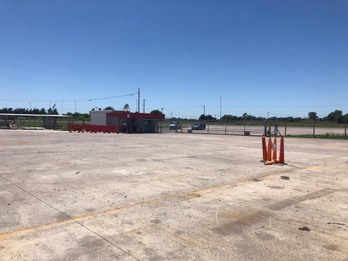 Imagen 6 de 23 de Nave Logística 11.000 M2 En Venta En Campana Sobre Autovía 6