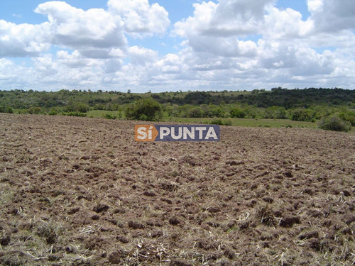 Imagen 14 de 30 de Campo Turistico Cerca De Punta Del Este