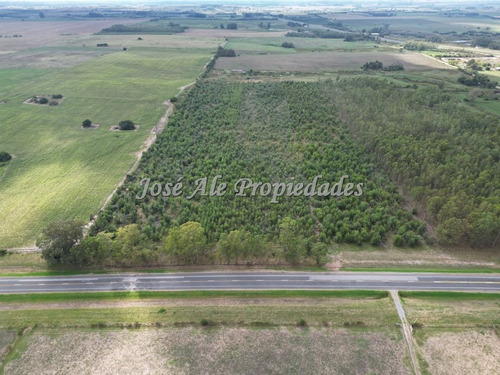 En Venta Campo De 8 Ha Y 8 Hectáreas Y 7883 Metros En Radia
