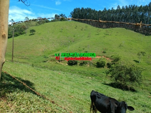 Imagem 7 de 15 de Sítio Dos Sonhos Em Paraibuna - 3.8 Alqueires - 1001