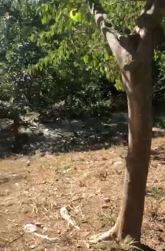 Terreno En Venta En Hualauises Nuevo León