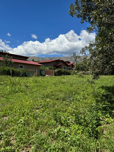 Terreno - Merlo