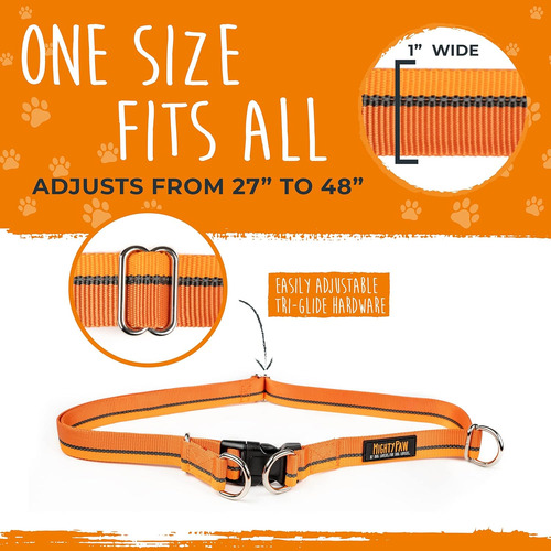 Trela Para Cão Sem Mãos Mighty Paw | Trela De Cintura Bun...
