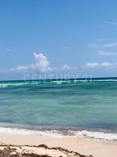 Oportunidad!!se Vende Terreno Frente Al Mar Mahahual-rio Indio P1200