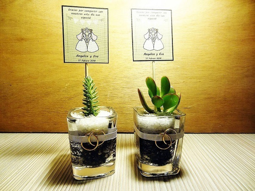 Recuerdos Matrimonios Regalos Cactus Suculentas Con Mensaje (Usado)