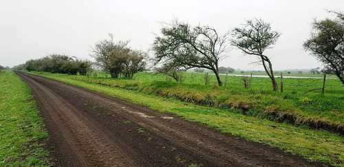 Imagen 8 de 21 de Campo En General Madariaga-