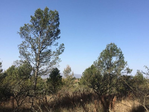 Venta De Lote De Terreno En El Barrio Alta Vista En Villa General Belgrano - Tlc0832