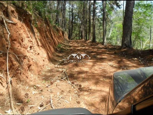 Imagem 4 de 13 de Terreno- Petrópolis, Araras - 32212