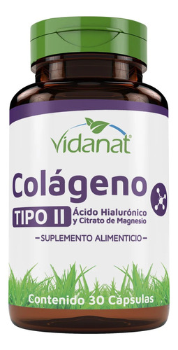 Colageno Tipo Ii Ácido Hialurónico Magnesio 30 Cáp Vidanat Sabor Sin Sabor