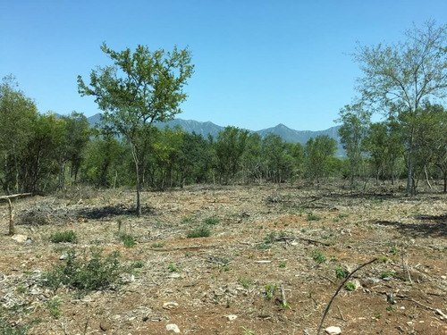 Imagen 4 de 11 de Campestre