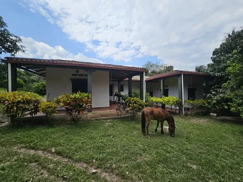 Finca En La Mesa Cundinamarca- San Joaquin