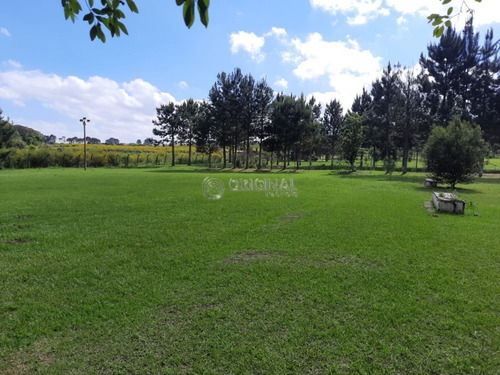 Imagem 10 de 17 de Chácara Para Venda - 10561.001