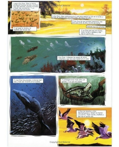 Imagen 2 de 4 de La Biblia Gráfica Con Todas Las Historias De La Biblia