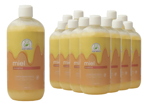 Shampoo De Miel Boost De Nutrición (500ml) 12 Pack