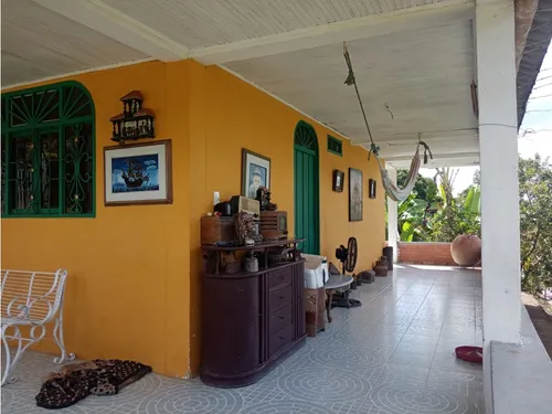 Venta Finca Productiva Montenegro Pueblo Tapao - 11 Cuadras