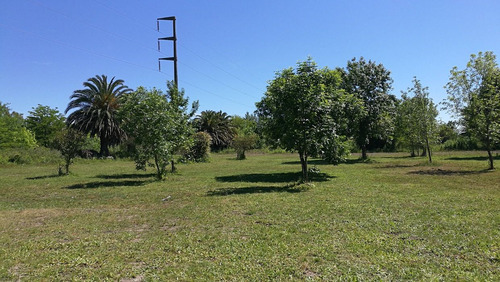 Finca Los Fresnos - Lote 858 M2- Baum Propiedades