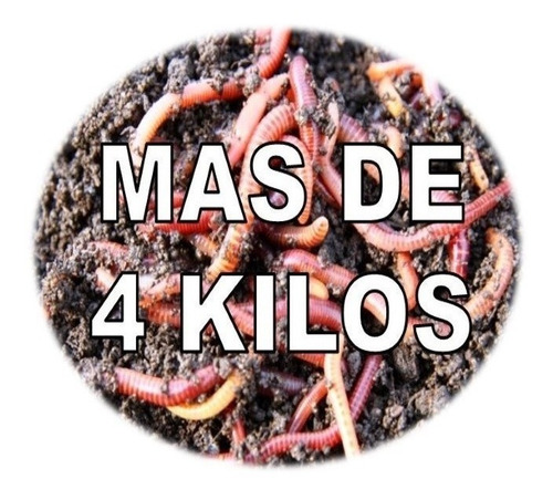 Imagen 1 de 1 de Promo Especial Mas De 4 Kilos Entre Lombriz Y Sustrato