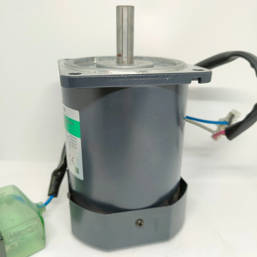 Imagen 4 de 6 de Motor Inducción 110v Ac 1450 Rpm 1.09a 60w Cmprodemaq