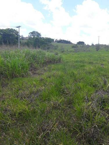 Imagem 15 de 27 de Sitio Campinas Antes Do Pedagio De Jaquariuna 46 Hectares - 42655