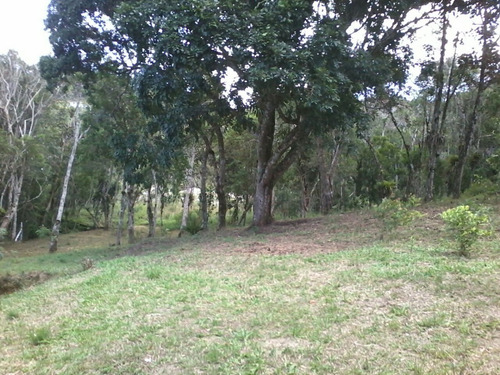 Imagem 10 de 11 de Chácara À Venda Em Juquitiba Ideal Para Moradia 3.000 M² Campinho De Futebol