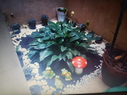 Sobrado Com 3 Dormitórios À Venda, 106 M² Por R$ 520.000,00 - Cidade Patriarca - São Paulo/sp - So6577