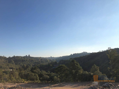 Imagem 7 de 22 de Terreno À Venda, 300 M² Por R$ 99.000,00 - São Giácomo - Caxias Do Sul/rs - Te0210