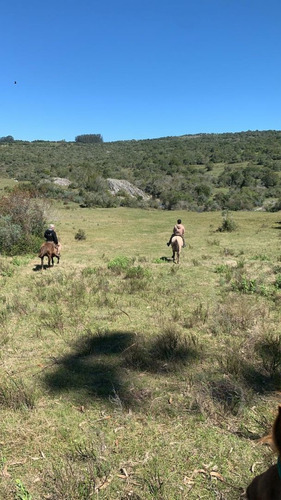 Imagen 5 de 19 de Quinta En Venta - Monoambiente En Aiguá (ref: Bpv-7831)